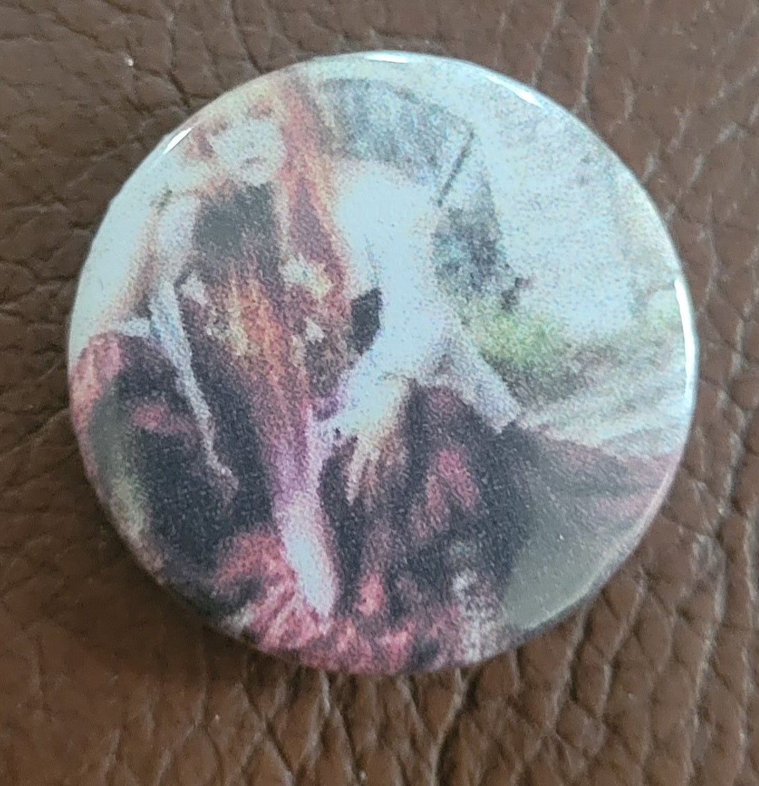 Stevie Nicks
